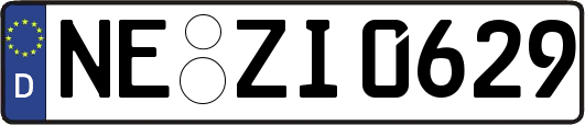 NE-ZI0629