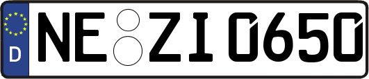 NE-ZI0650