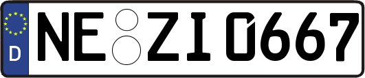 NE-ZI0667