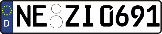 NE-ZI0691