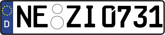 NE-ZI0731