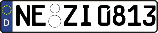 NE-ZI0813