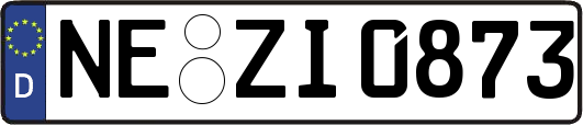 NE-ZI0873