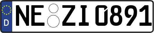 NE-ZI0891