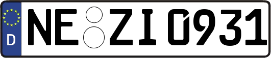 NE-ZI0931