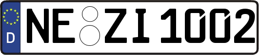 NE-ZI1002