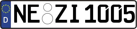 NE-ZI1005