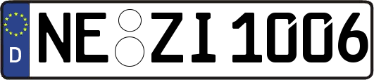 NE-ZI1006