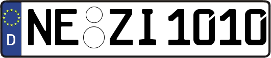 NE-ZI1010