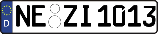 NE-ZI1013