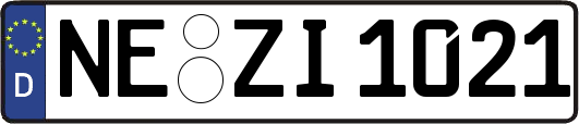 NE-ZI1021