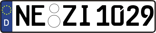 NE-ZI1029