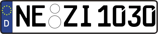 NE-ZI1030