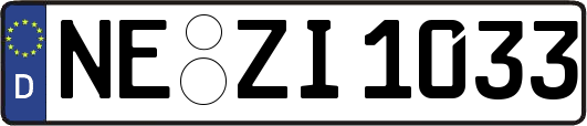 NE-ZI1033