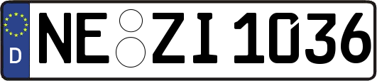 NE-ZI1036