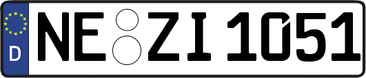 NE-ZI1051