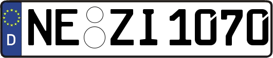 NE-ZI1070