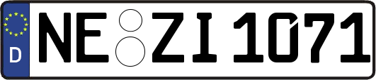 NE-ZI1071
