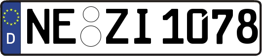 NE-ZI1078