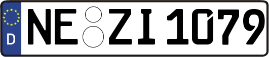 NE-ZI1079