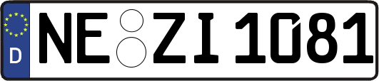 NE-ZI1081