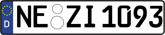NE-ZI1093