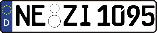 NE-ZI1095