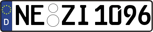 NE-ZI1096