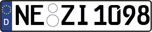 NE-ZI1098