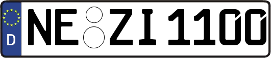 NE-ZI1100