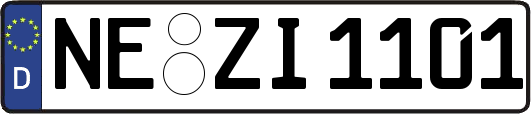 NE-ZI1101