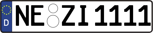 NE-ZI1111