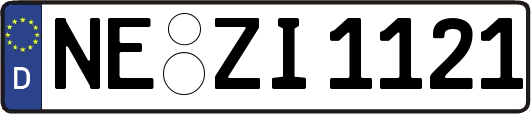 NE-ZI1121