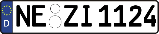 NE-ZI1124