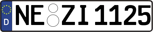 NE-ZI1125