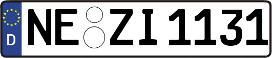 NE-ZI1131