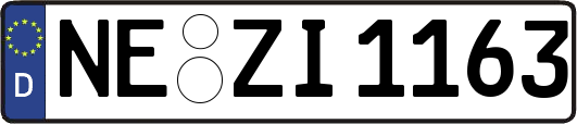 NE-ZI1163