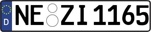 NE-ZI1165