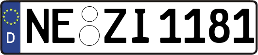 NE-ZI1181