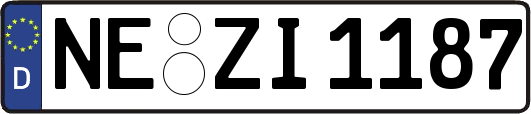 NE-ZI1187