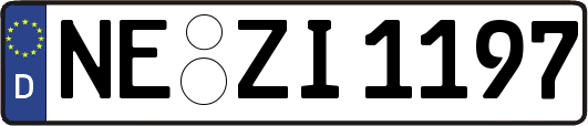 NE-ZI1197