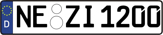 NE-ZI1200