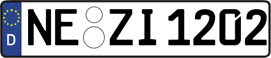 NE-ZI1202