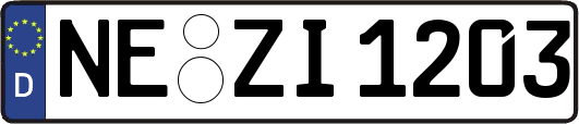 NE-ZI1203