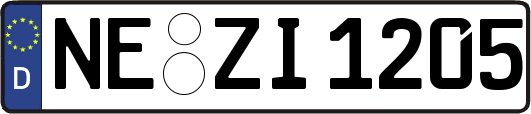 NE-ZI1205