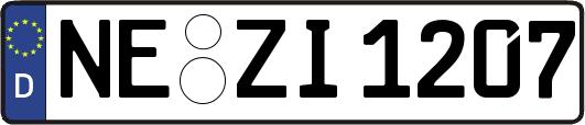 NE-ZI1207