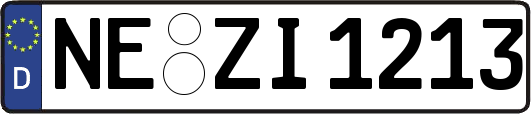 NE-ZI1213