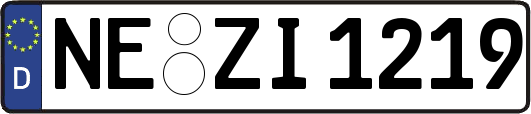 NE-ZI1219