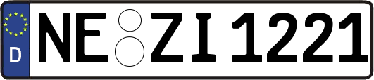 NE-ZI1221
