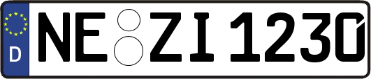 NE-ZI1230